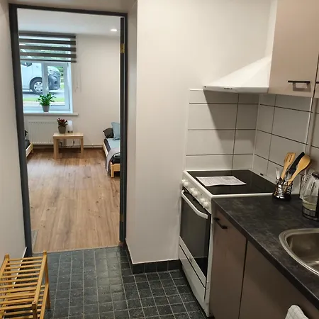 דירה Erts Vienistabu Dzivoklis