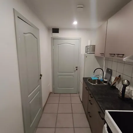 Erts Vienistabu Dzivoklis Riika