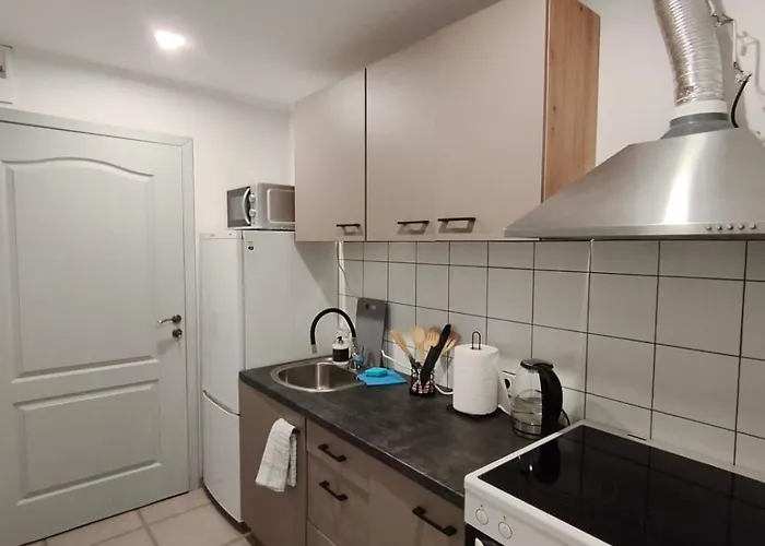 Apartment Erts Vienistabu Dzivoklis