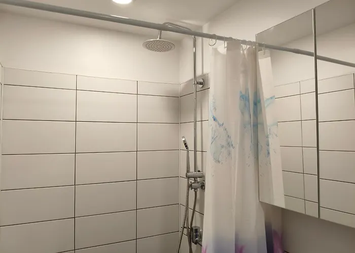 Erts Vienistabu Dzivoklis