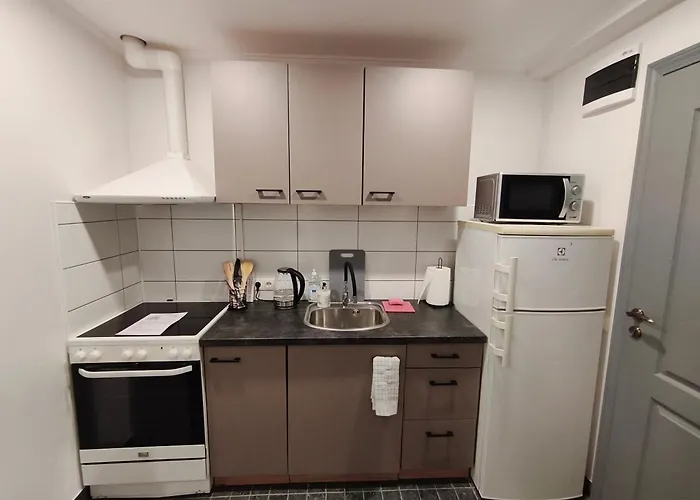 Apartment Erts Vienistabu Dzivoklis *