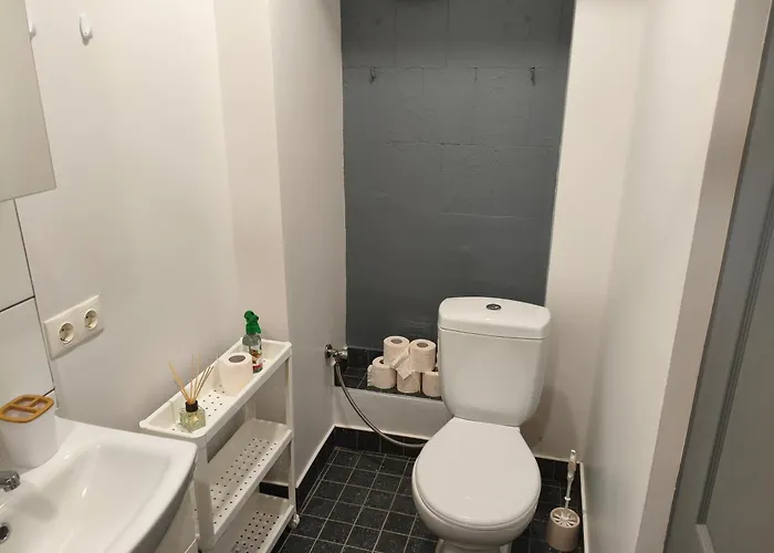 Erts Vienistabu Dzivoklis Riga