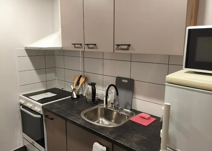 Erts Vienistabu Dzivoklis Dzīvoklis