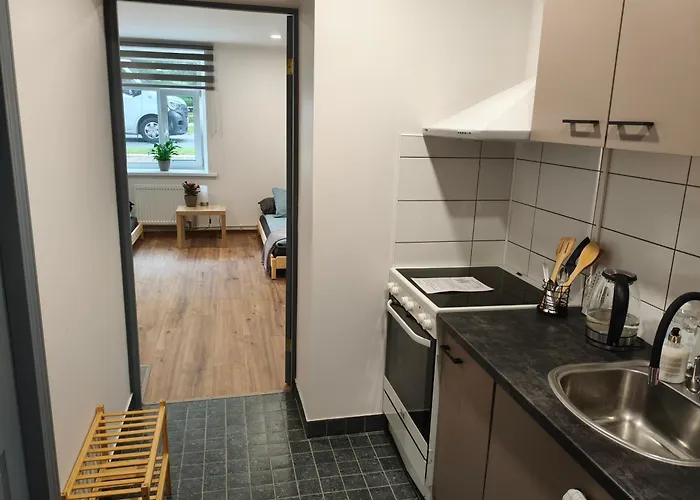 Apartment Erts Vienistabu Dzivoklis