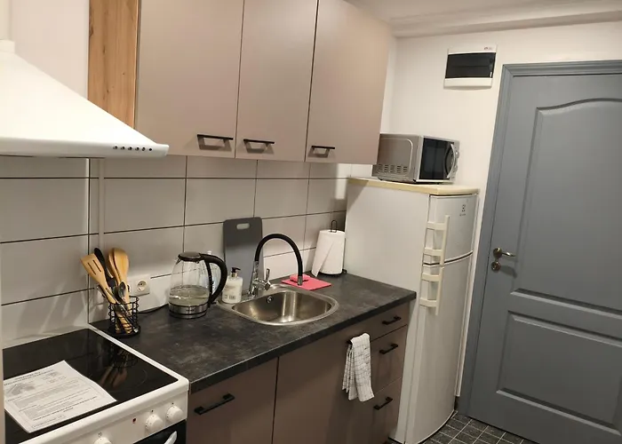 Apartment Erts Vienistabu Dzivoklis *