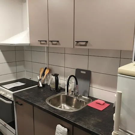 Erts Vienistabu Dzivoklis Apartment